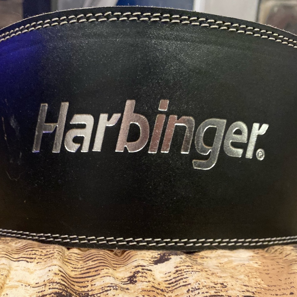 Harbinger Waist Belt